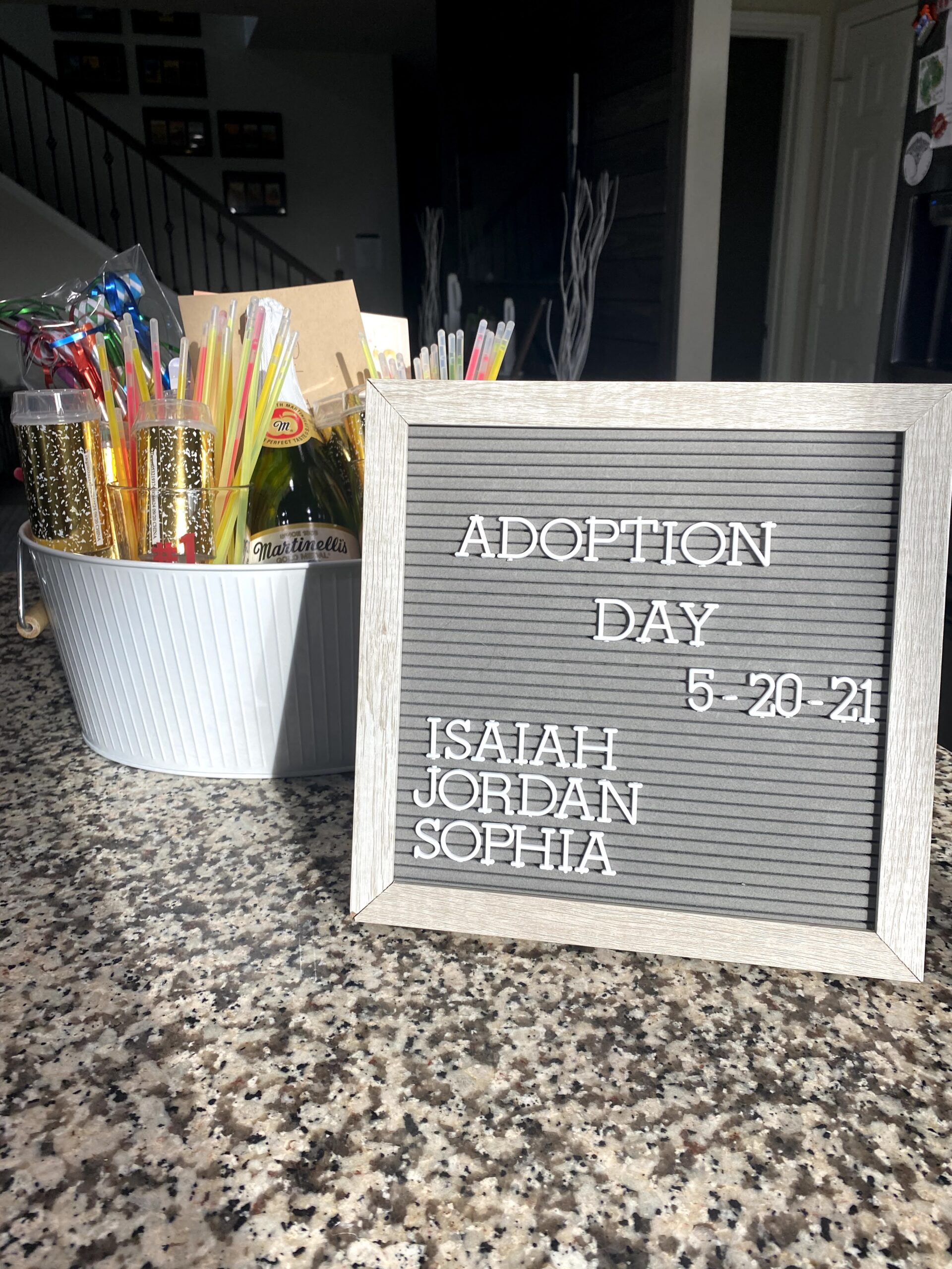 Adoption Journey: How Two Dads Created a Forever Home